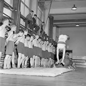 Classmates: Physical education, gym