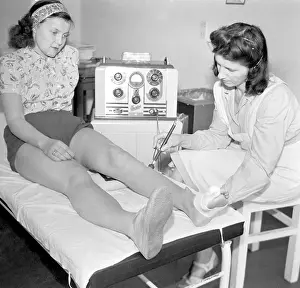 Kladruby: Physical theraphy