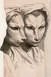 1762: Physiognomic Heads Inspired by a Weasel