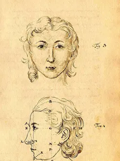 Pseudo: Physiognomical Illustration of Human Head