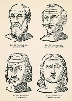 Forehead: Physiognomy