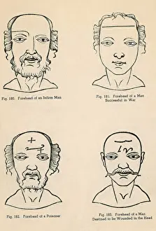 Forehead: Physiognomy