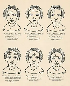 Forehead: Physiognomy