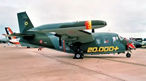 Gruppo: Piaggio P.166DL-3APH MM25157