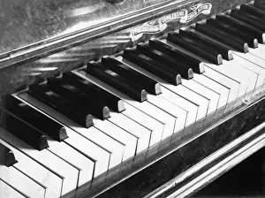 Robin Adler: Piano keyboard