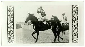 Jockeys: Piastoon, Australian race horse
