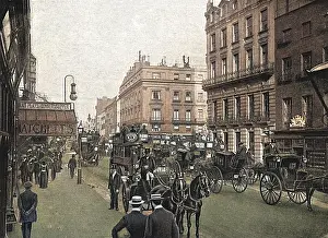 Hatchett: Piccadilly
