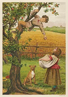Precariously: PICKING APPLES 1878