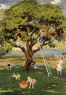 Hardie: Picking Apples
