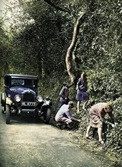 Picking berries by the roadside, 1927