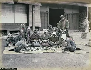 Mats: Picking cotton