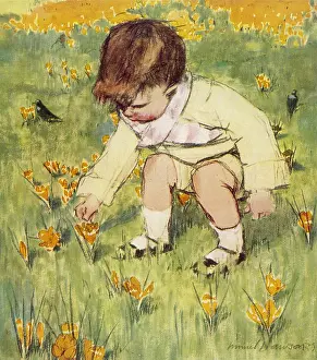 Crocuses: Picking Crocii by Muriel Dawson