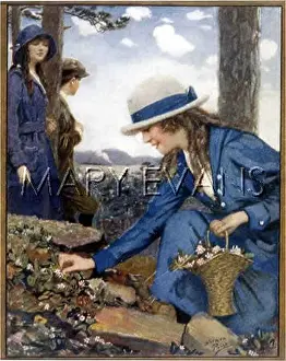Rockery: PICKING FLOWERS 1920