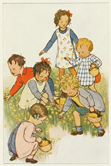 Buttercups: PICKING FLOWERS