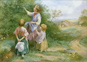 Birket: Picking Hedgerow Flowers