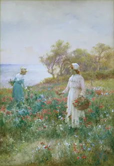 Glendening: Picking Poppies