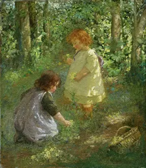 Nellie: Picking Primroses ' two little girls