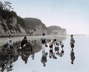 Shellfish: Picking shellfish along the seashore, Japan, c.1890