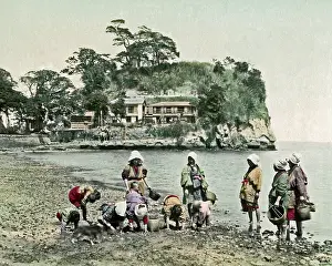 Honmoku: Picking shells, Honmoku, Japan