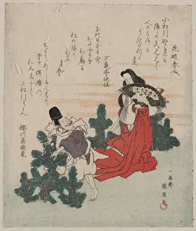 Pines: Picking young pine