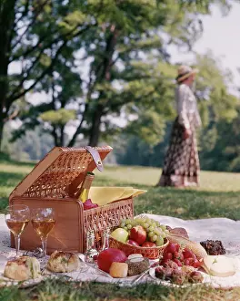 Gourmet: Picnic Basket Wine Cheese Fruit Bread Soft Focus