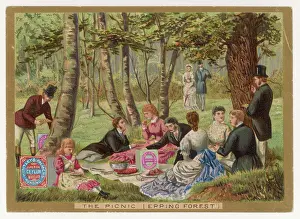 Picnics: PICNIC WITH BISCUITS