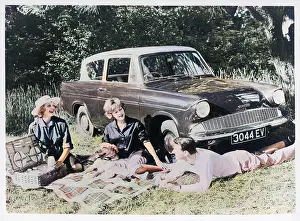 PICNIC IN THE COUNTRY