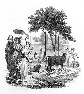 Nasty: PICNIC & COW/SEYMOUR