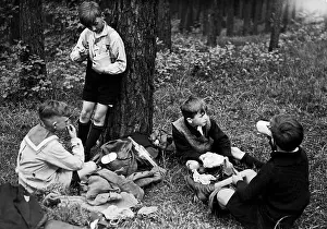 Strengthen: Picnic in the forest, 1935