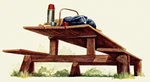 Barbecue: Picnic Table