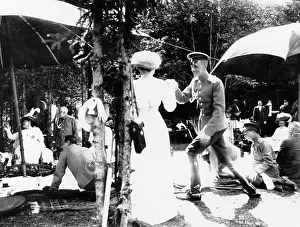 Ruling: Picnics - Russian High society