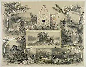 C1884: A picture of pictures