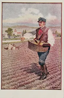 Sower: Picture postcard. First World War
