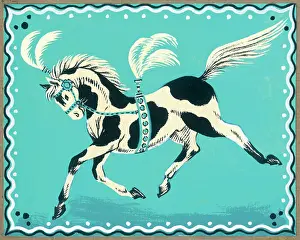 Trot: Piebald Circus Horse ? trotting