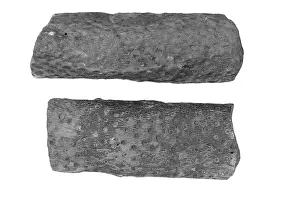 Sandstone: Two pieces of Carboniferous sandstone from Ballycastle