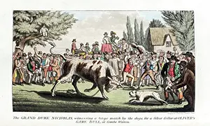 Tossed: Pierce Egan's Anecdotes: bull-baiting by dogs