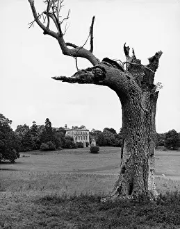 Soane: PIERCEFIELD HOUSE