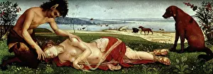 Cosimo: Piero di Cosimo (1462 -