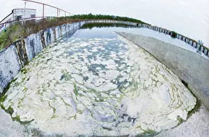 Metelitsa: Pig-breeding complex