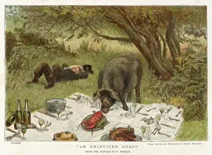 Picnics: PIG EATS PICNIC FOOD
