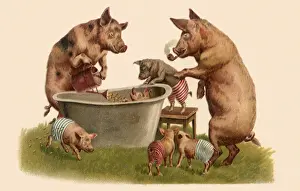 Bathtub: Pig Family Bath