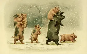 Piglet: Pig Family in Snow