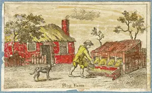 PIG FARM