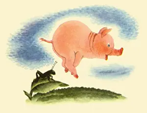 Imitating: Pig Jumping over a Cricket