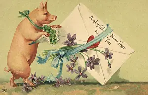 Hoof: Pig with Large Card