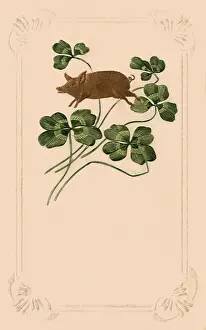 Leaps: Pig Leaps Over Clover