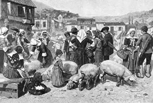 Negotiate: PIG MARKET, PYRENEES