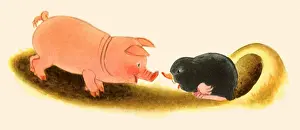 Mole: Pig and Mole