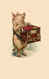 Strapped: Pig with Music BoX