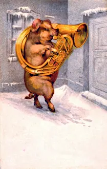 Euphonium: Pig playing large brass instrument in the snow